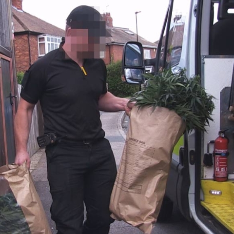 The drugs being confiscated in 2015