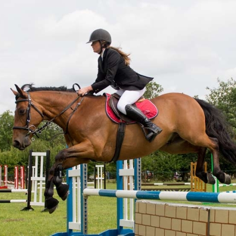 Weeton Show 2015