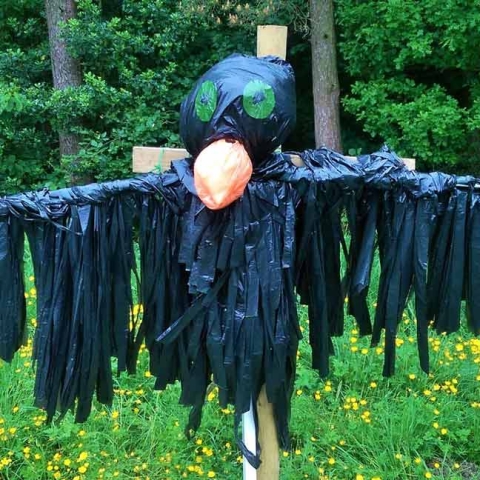 A Scary Crow by Harrogate Ladies College