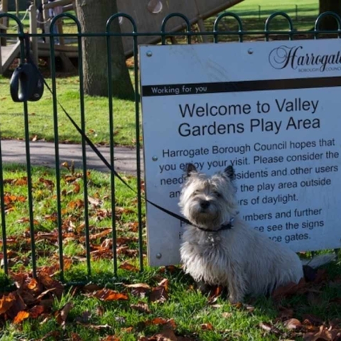 Valley Gardens