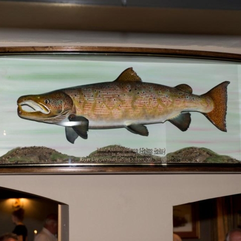 “The Big Fish”