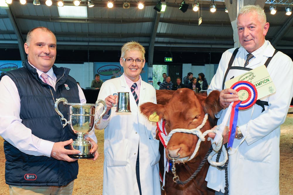 Phil Sellers with his champion Limousin x heifer, More of That at Countryside Live 2014