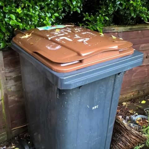 brown bin