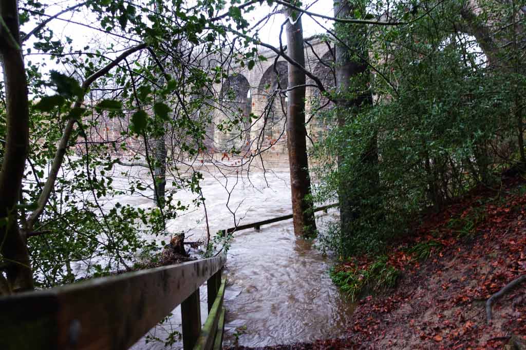 River-Nidd-at-Bilton-in-Harrogate