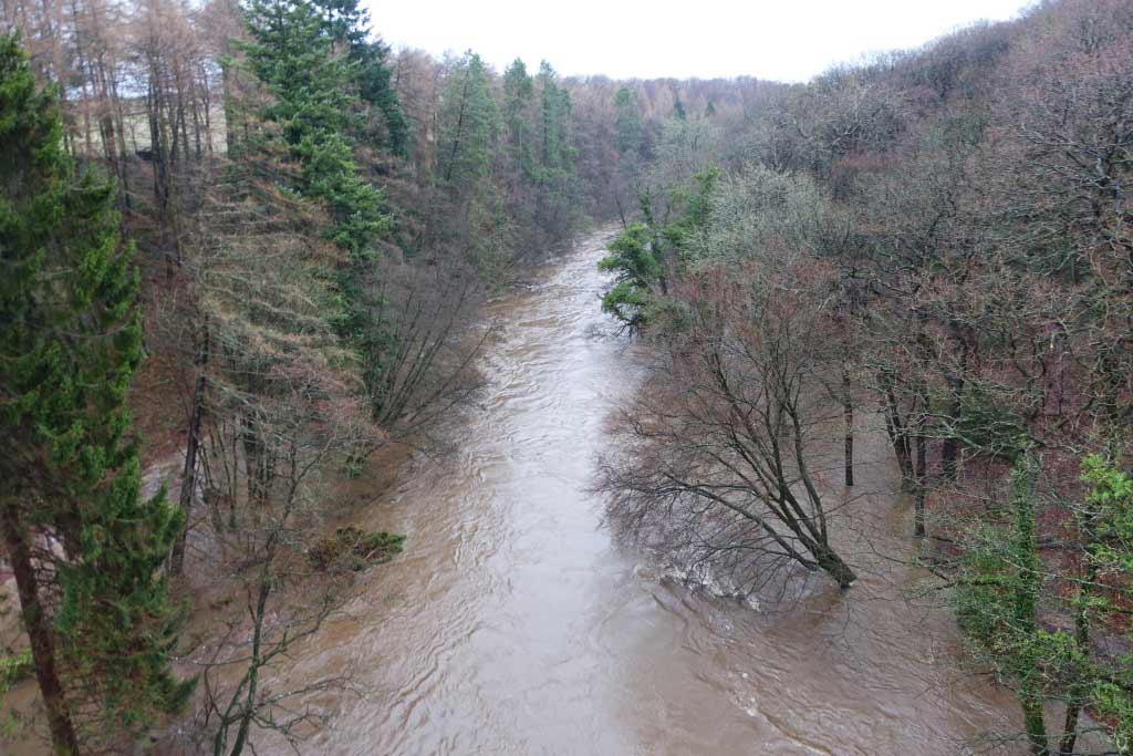 River-Nidd-near-Bilton.jpg