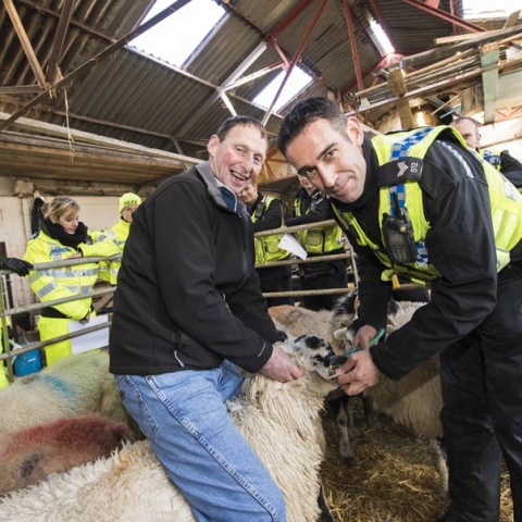 Sergeant Stuart Grainger practises reading an electronic ear tag at a North Yorkshire Police training day in Aysgarth