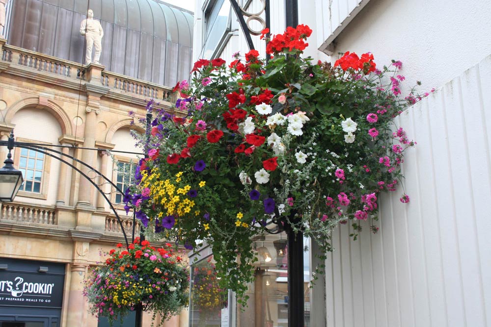 Harrogate in bloom