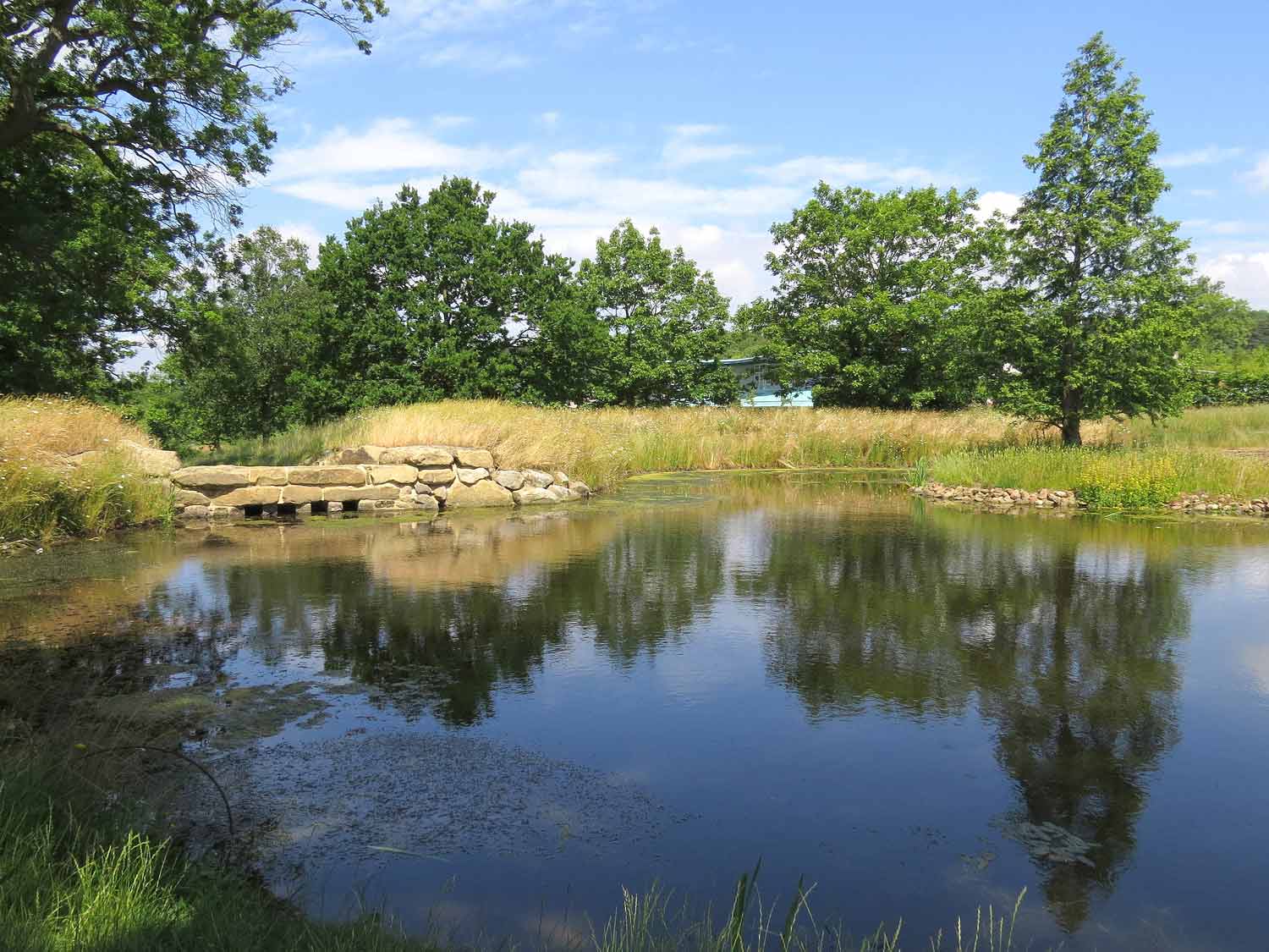 Lake-at-RHS-Garden-Harlow-Carr-credit-RHS-and-Liz-Grant