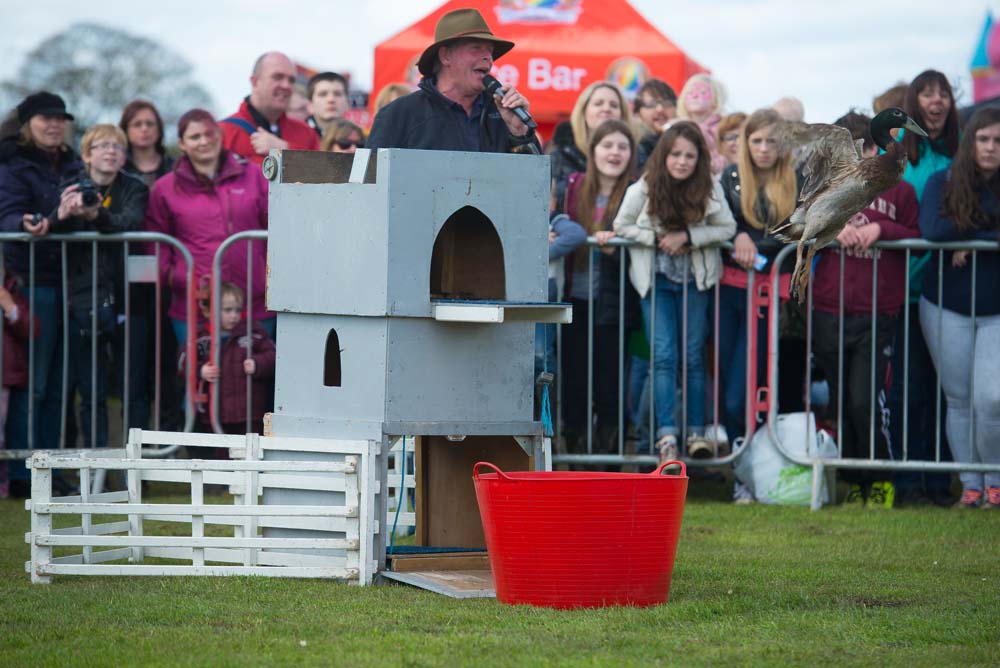 Bilton Gala 2016_DSC_8683