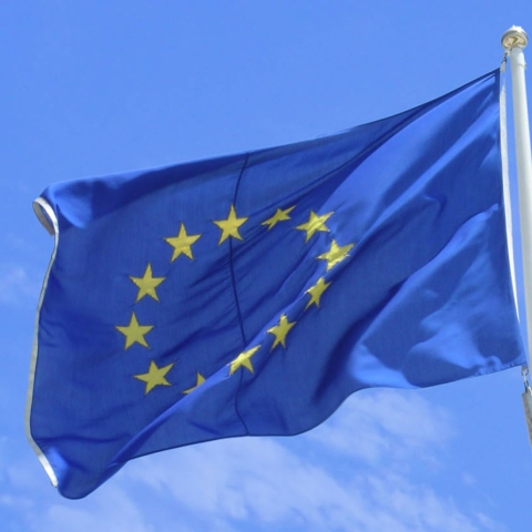 EU flag