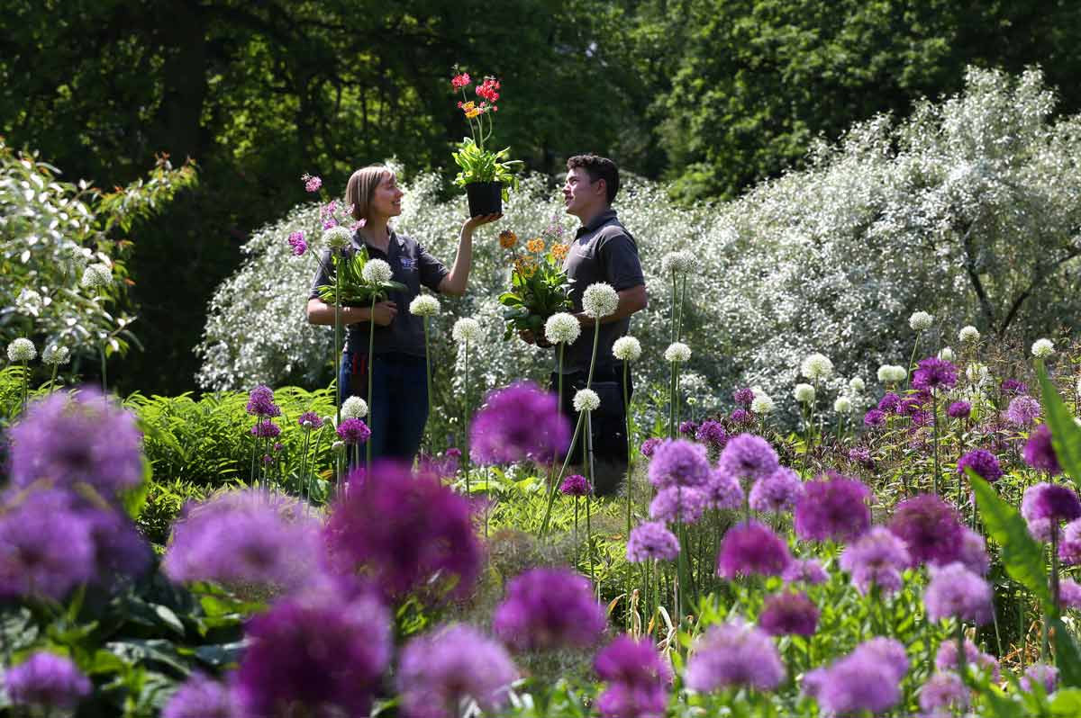 Horticulture-students-Harry-Bradley-and-Sally-Newbrook-prepare-for-the-first-ever-RHS-Harlow-Carr-Flower-Show