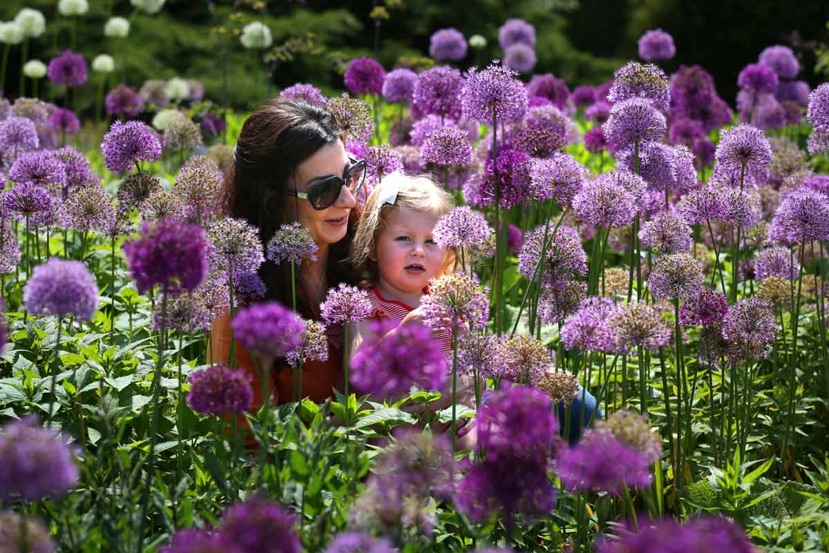 RHS Harrogate