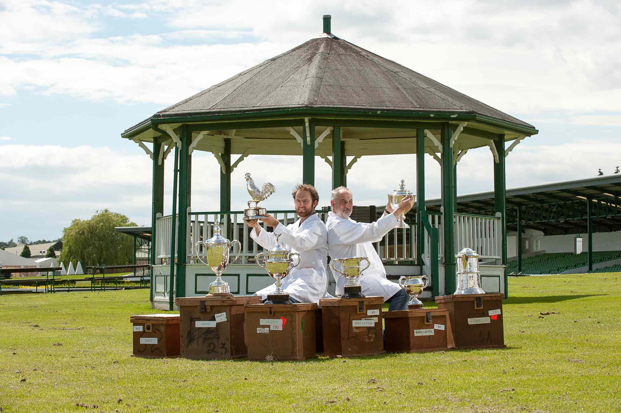 Polishing the silverware