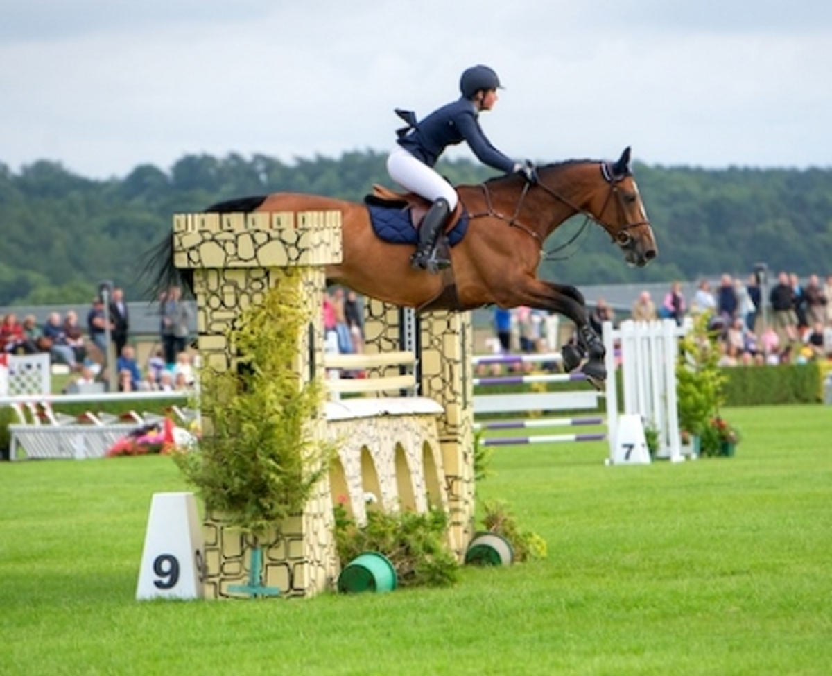 Great Yorkshire Show