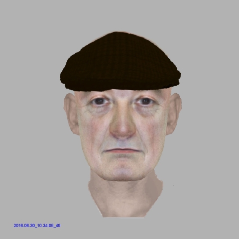 Harrogate efit flasher