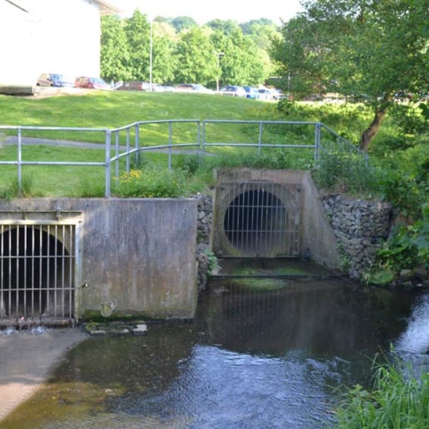 Harrogate Hydro