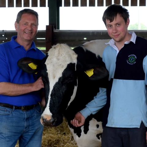 tockwith show