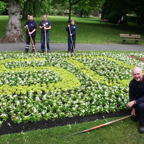 Harrogate Borough Council plants