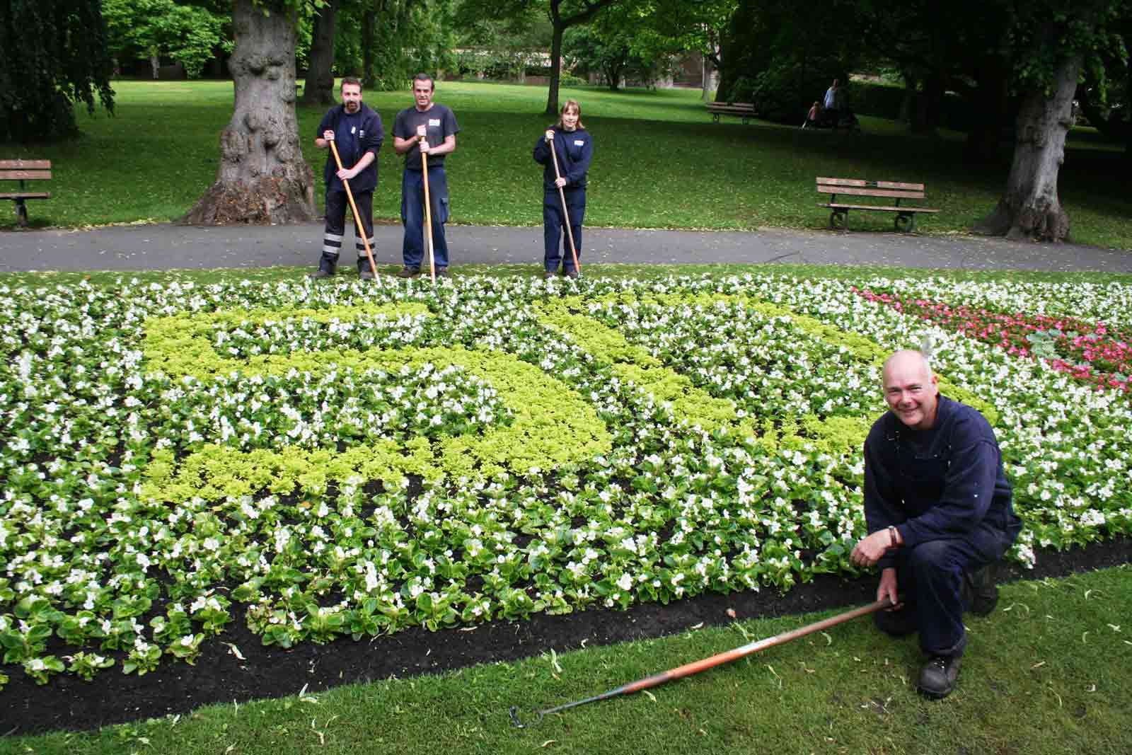 Harrogate Borough Council plants