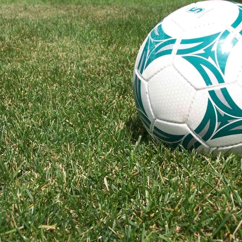 football harrogate