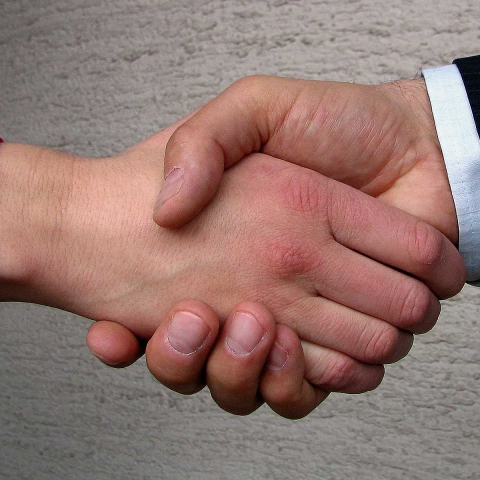 shaking hands