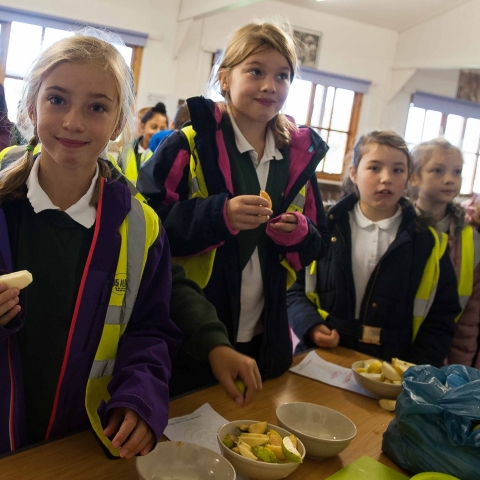 Willow Tree Primary School, Harrogate