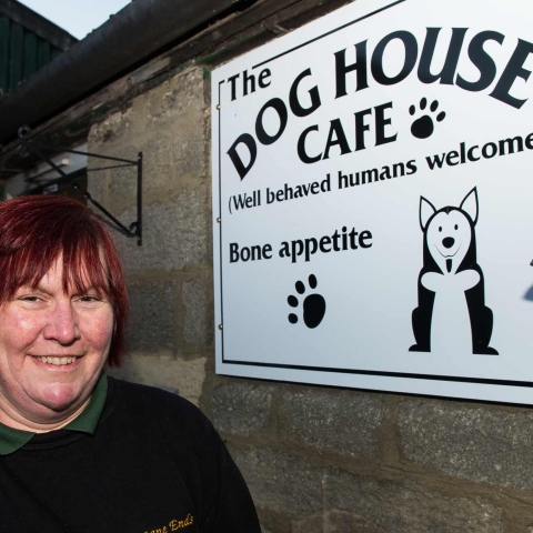 Jackie Green Dog House Harrogate