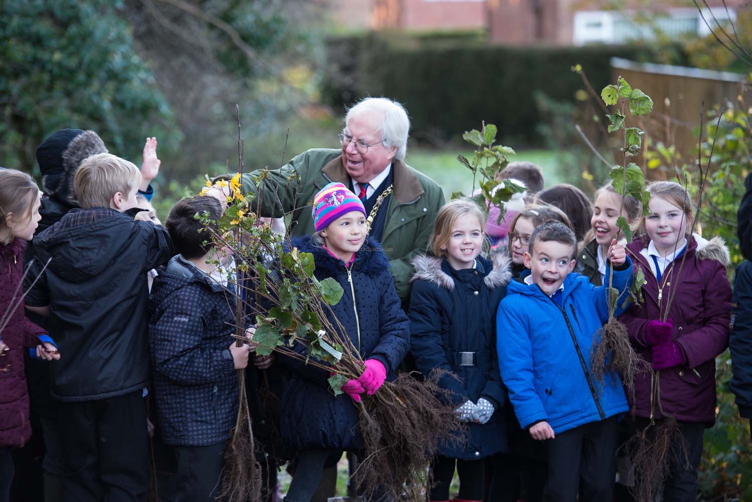 harrogate_tree_plant_003