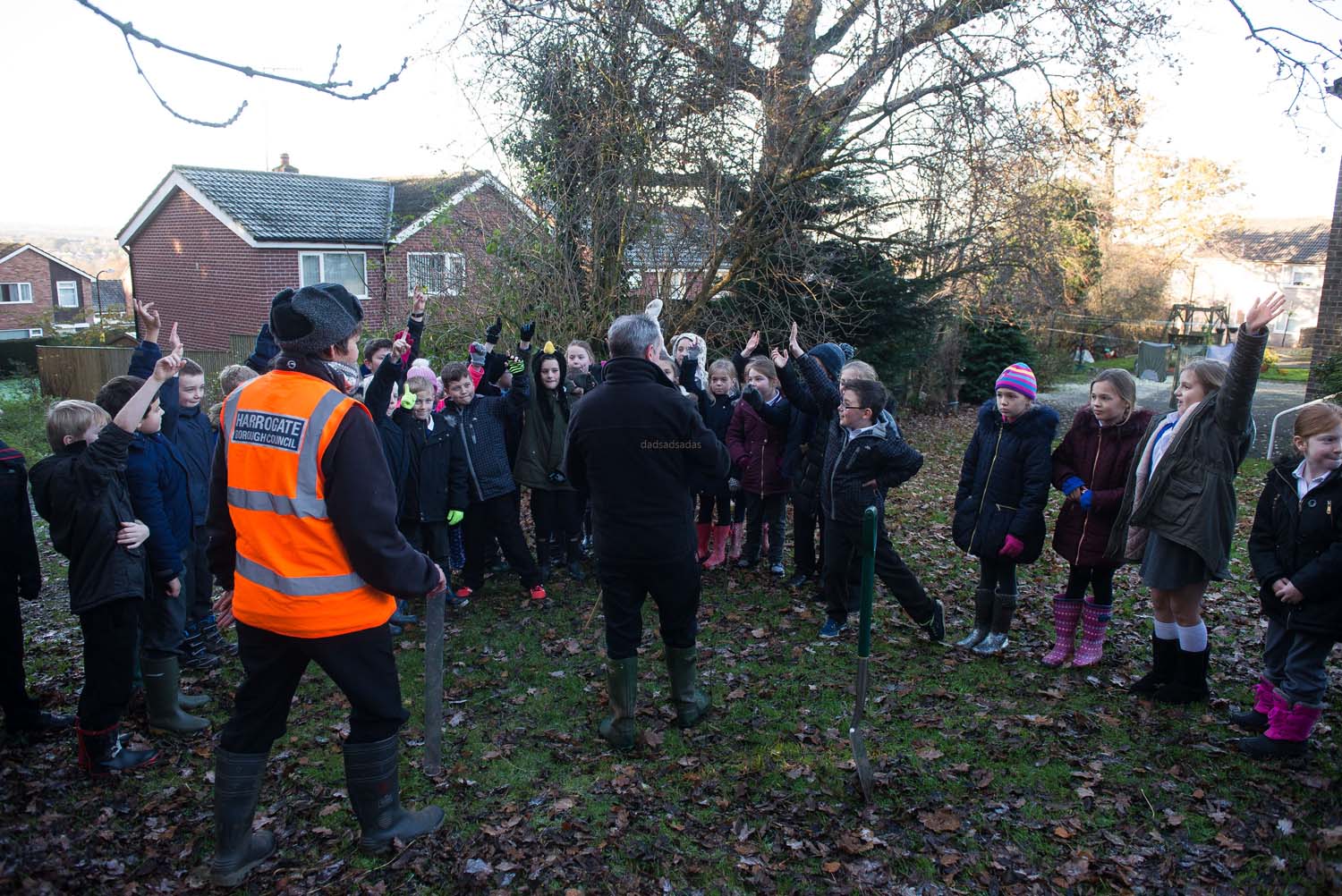 harrogate_tree_plant_006