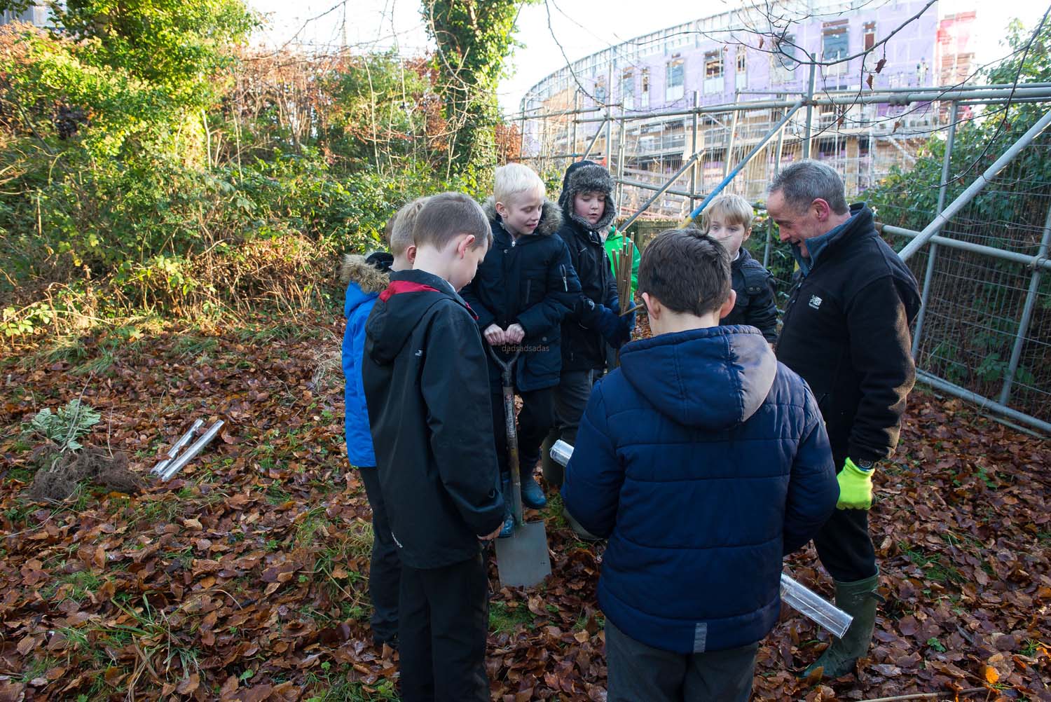 harrogate_tree_plant_008