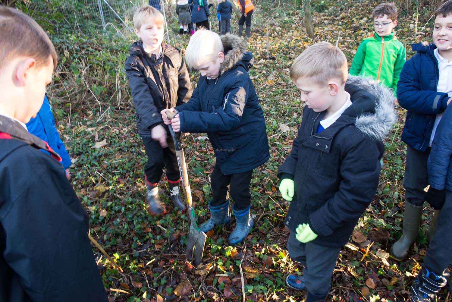 harrogate_tree_plant_017