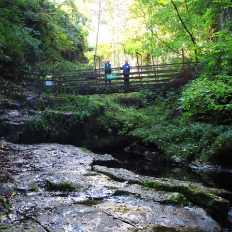 How Stean owners, Stan and Ann Beer, at the exact location depicted in Gallon’s painting