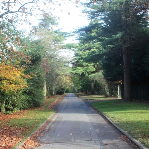 Pinewoods Harrogate