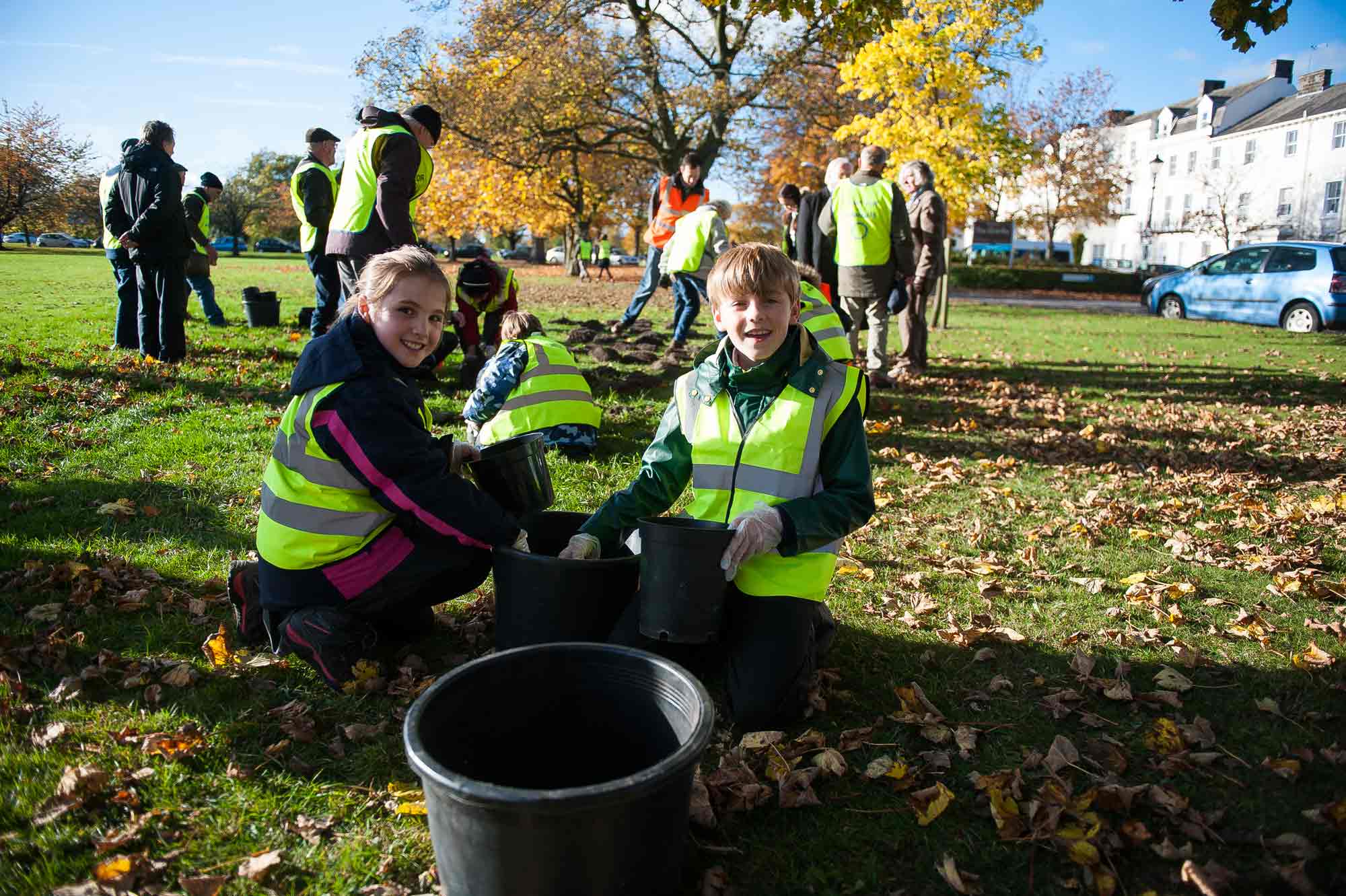 Time to plant 8,000 crocus bulbs!