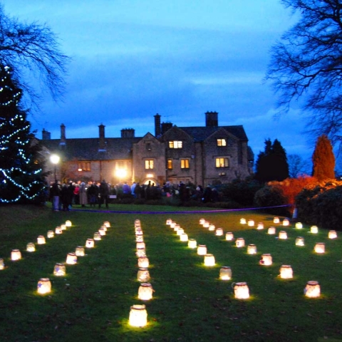 Crowds gather as the lights on the tree are switched on
