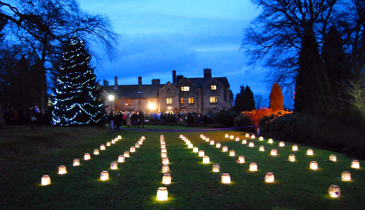 Crowds gather as the lights on the tree are switched on