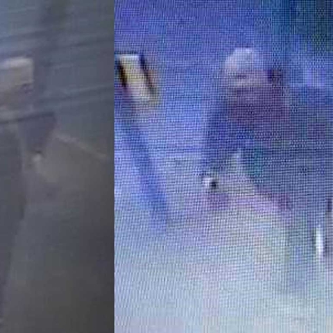 Harrogate fugitive