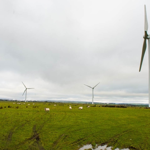 Knabs Ridge wind farm, near Harrogate