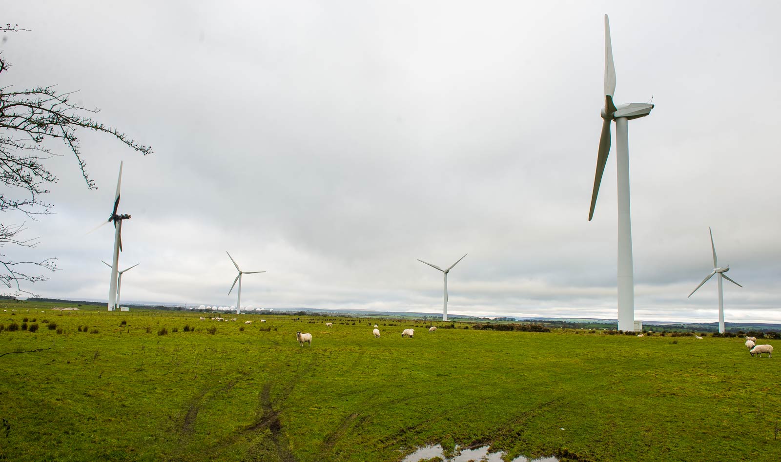 Knabs Ridge wind farm, near Harrogate