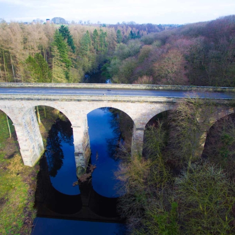 Nidd Gorge in Harrogate