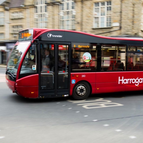 bus