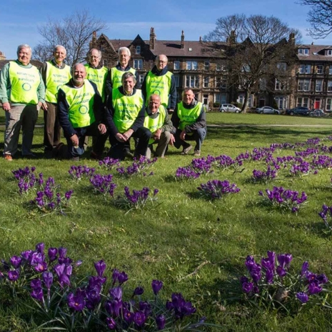 Members of the Rotary Club of Harrogate see how their Purple4Polio planting has turned out on the Granby Stray
