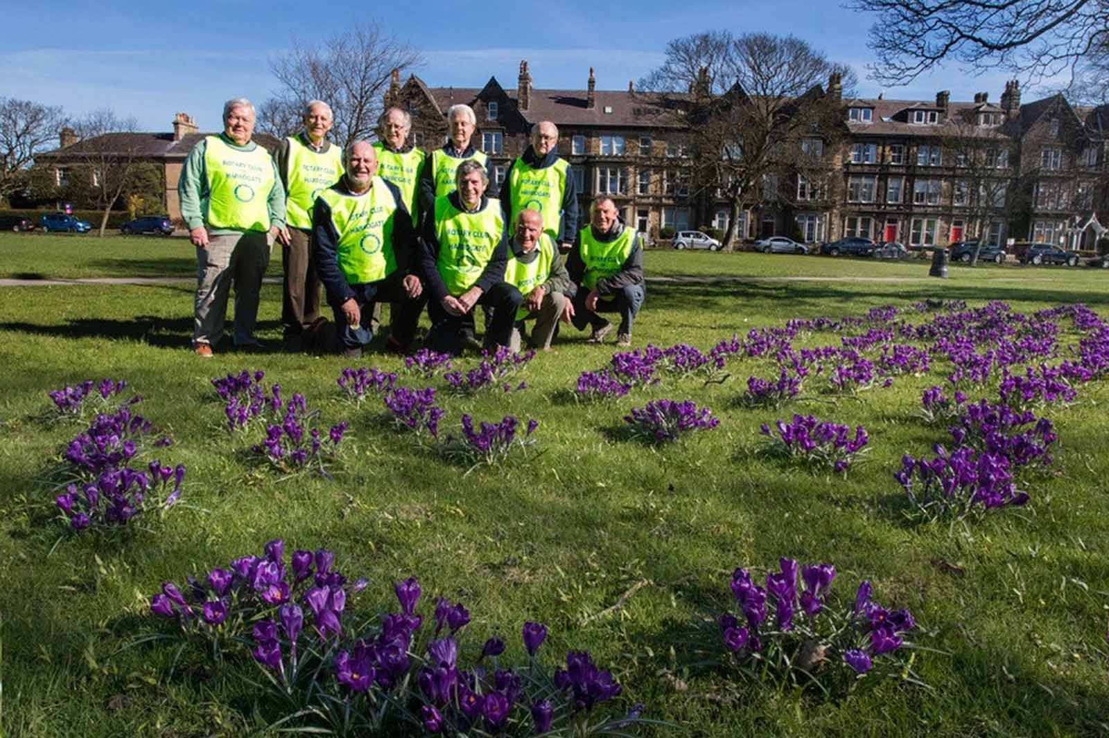 Members of the Rotary Club of Harrogate see how their Purple4Polio planting has turned out on the Granby Stray