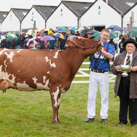 Winner of Michael Spink memorial trophy. Richard Baynes from Hexham with Marleycote Sea Lily. Trophy presented by Michael Warren, right