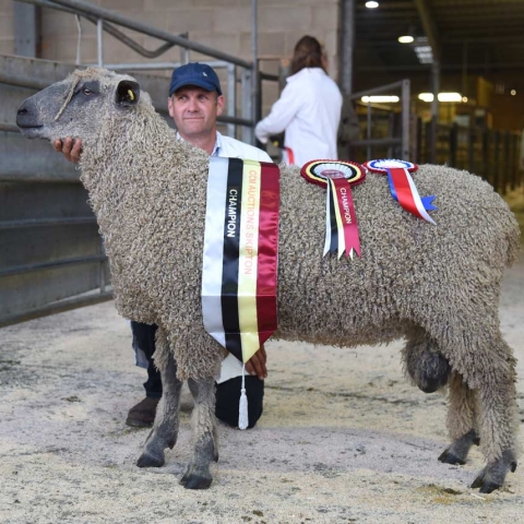 Andrew Fisher is pictured with his 2017 Skipton Wensleydale supreme champion