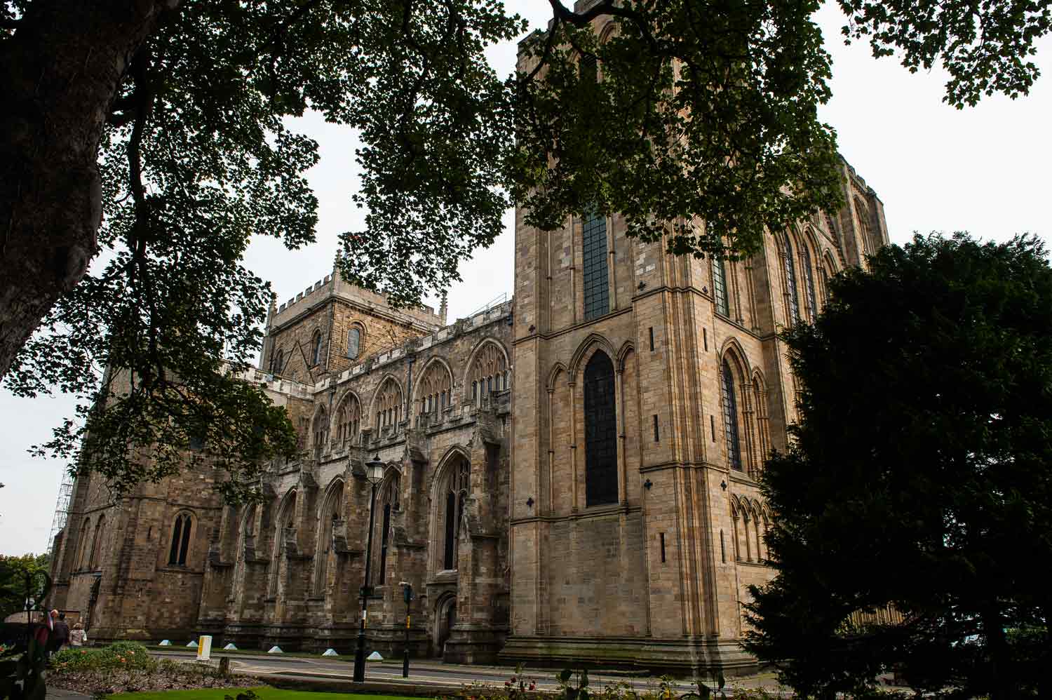 Local school children will come together for The Big Sing at Ripon Cathedral