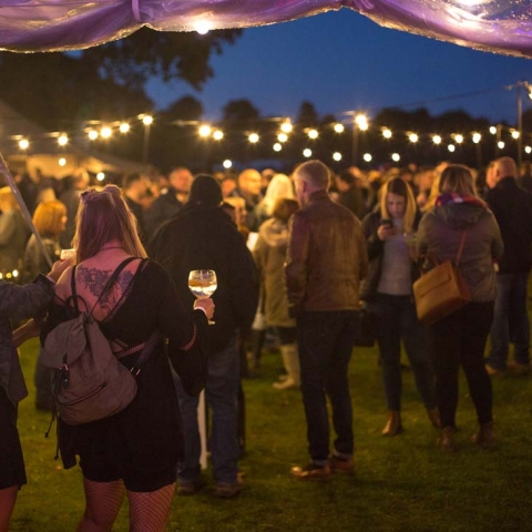 Gin Rocks Festival