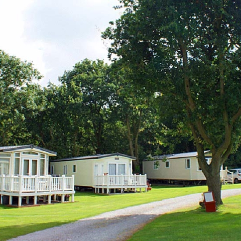 www.moorlodgecaravanpark.co.uk
