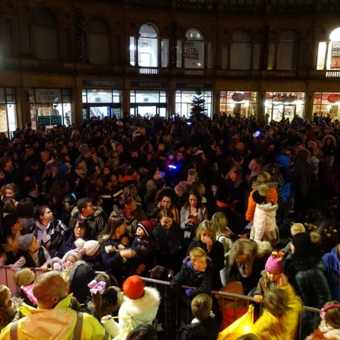 Harrogate lights 2017