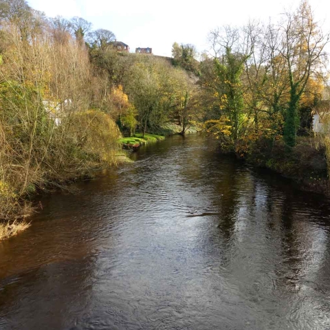 River Nidd